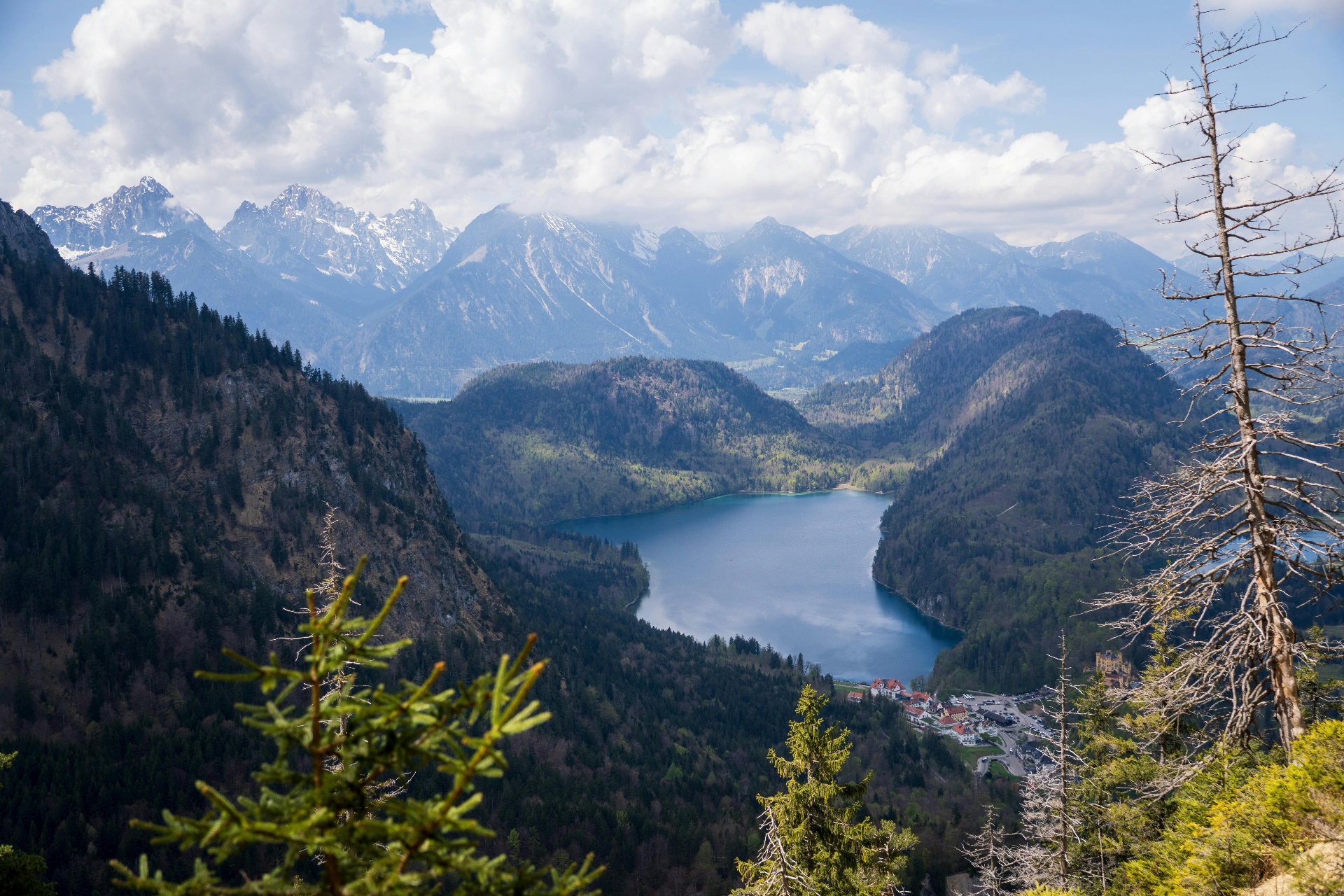 Alpsee mit Bergpanorama